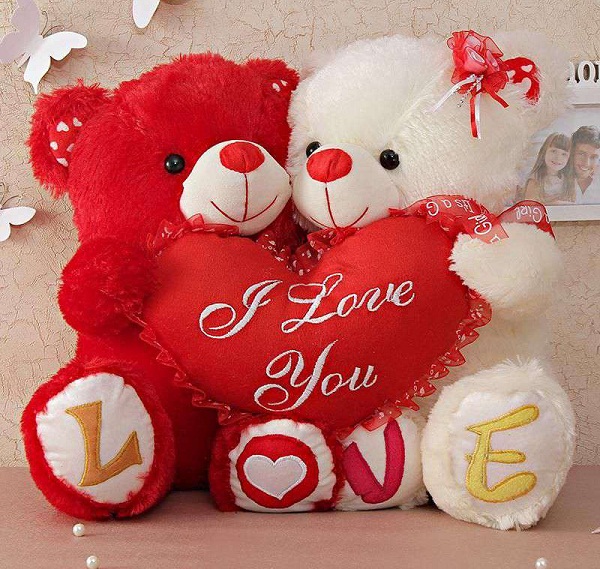 PunjabKesari  Teddy Day